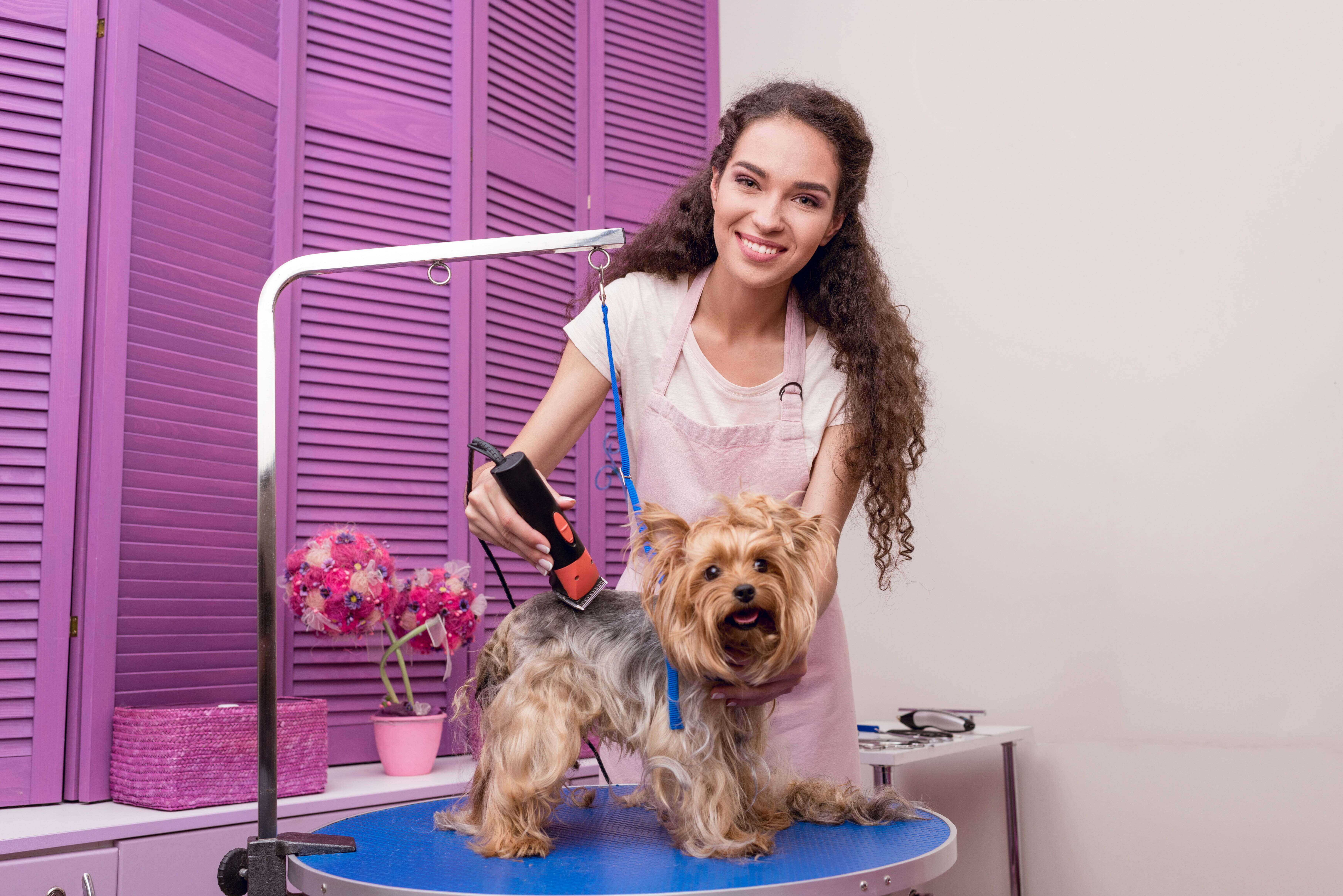 Life as Pet Groomer: What it Takes to be the Best • Pet Grooming AZ | Wags  & Whiskers Pet Salon Sahuarita, AZ::..